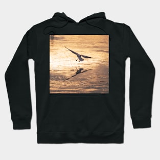 Gull on Ice Hoodie